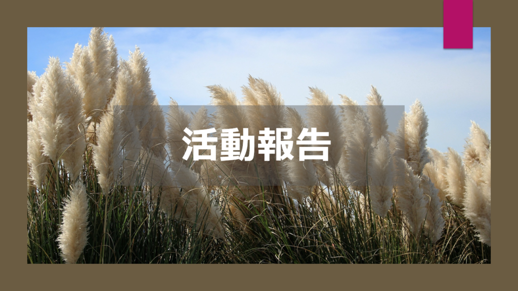 活動報告夏 1024x576